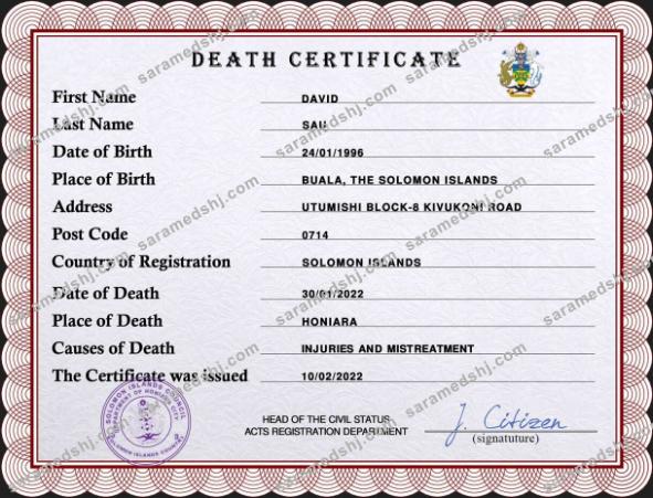 Solomon vital record death certificate PSD template